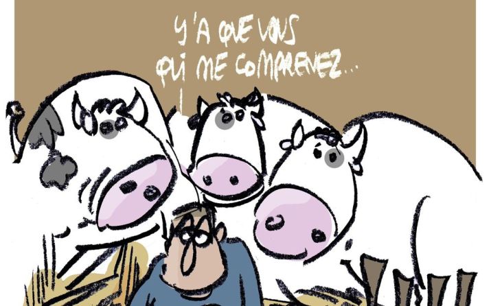 agribashing-le-blues-des-agriculteurs-exceacute-deacute-s-drsquo-ecirc-tre-mis-au-banc-des-accuseacute-s.jpg