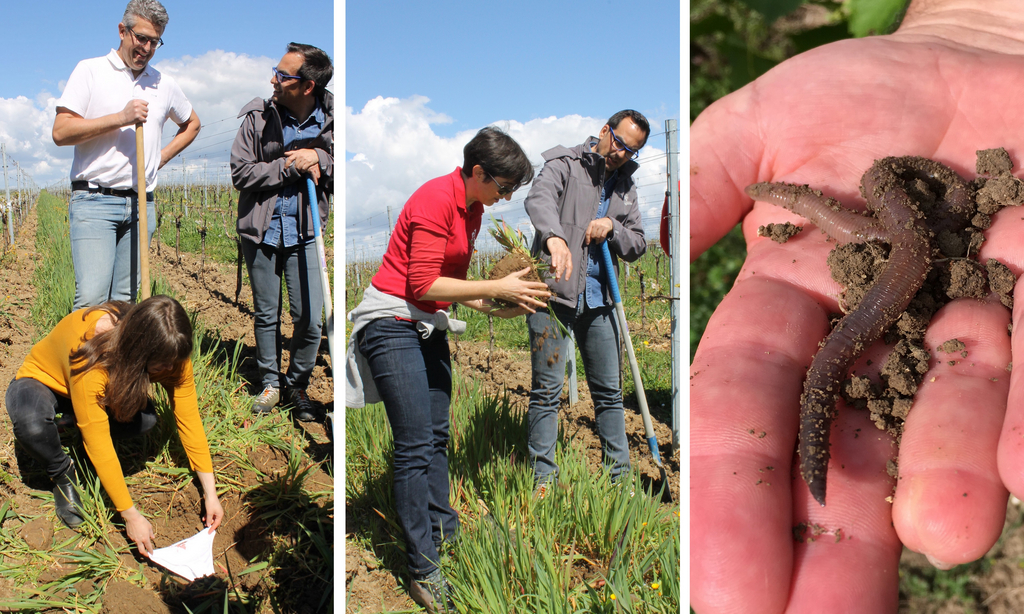 Enfouissement_Bergerac_9Avril2019-2