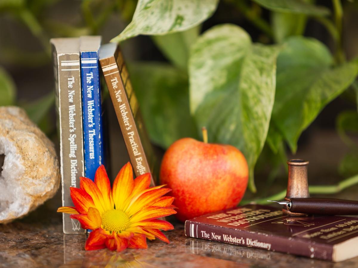 Découvrez le dico de l&rsquo;agroécologie !