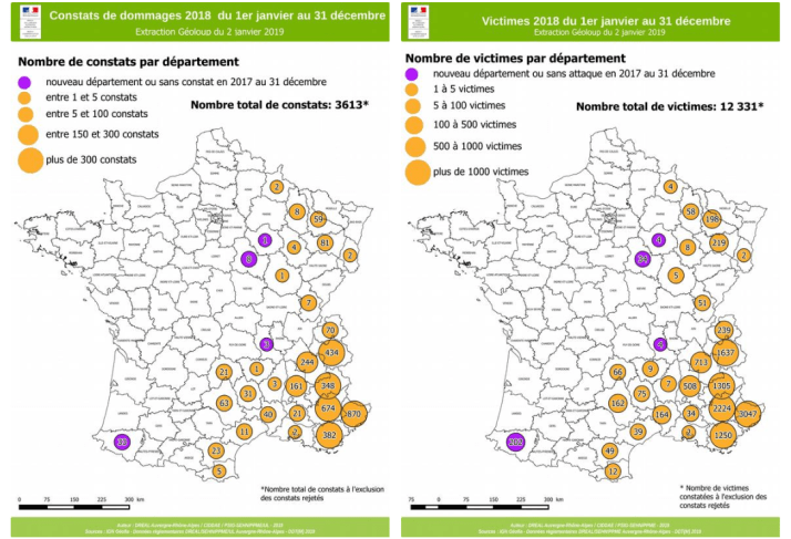 Screenshot_2019-04-12-infoloup25-bilan2018-pdf