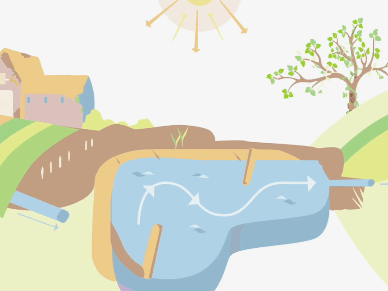 Zone Tampon Humide : une solution pour préserver la qualité de l&rsquo;eau&nbsp;?