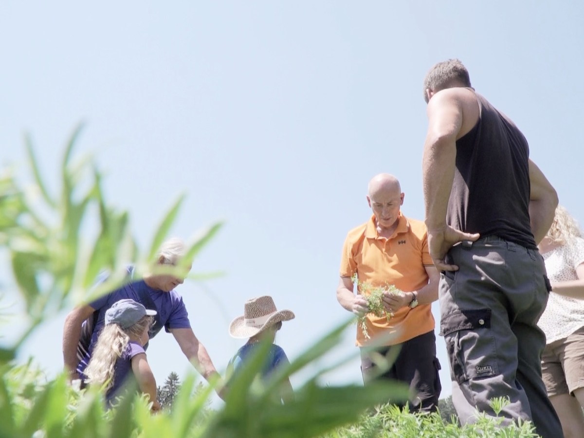 A la mode des&nbsp;lentilles