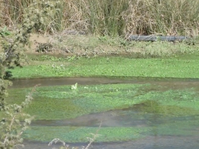 Mieux analyser les eaux souterraines : quels métabolites&nbsp;?
