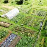 Comprendre et accompagner les&nbsp;microfermes